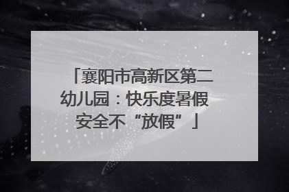 襄阳市高新区第二幼儿园：快乐度暑假 安全不“放假”